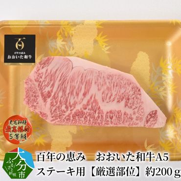 【A01103-H】【母の日ギフト】百年の恵み　おおいた和牛A5　ステーキ用【厳選部位】約200ｇ≪5月12日お届け≫