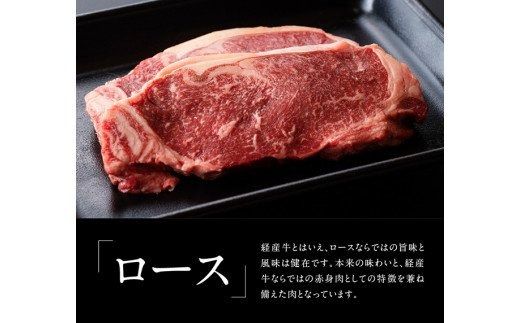 【訳あり】宮崎県産黒毛和牛ステーキセット[B][D00669]