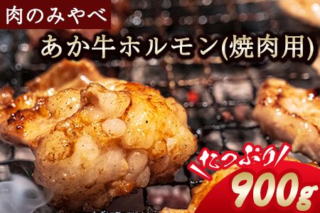 熊本県産 あか牛 焼肉 ホルモン 900g 肉のみやべ[120日以内に出荷予定(土日祝除く)]熊本県産 熊本県 御船町---sm_fmiyaakhr_120d_23_14500_900g---