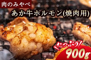 熊本県産 あか牛 焼肉 ホルモン 900g 肉のみやべ《120日以内に出荷予定(土日祝除く)》熊本県産 熊本県 御船町---sm_fmiyaakhr_120d_23_14500_900g---