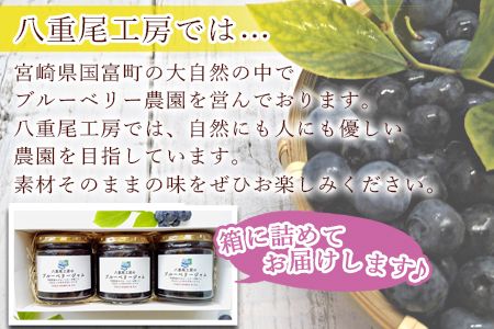 ＜ブルーベリージャム 260g×3個＞翌月末迄に順次出荷【a0189_ye_x1】