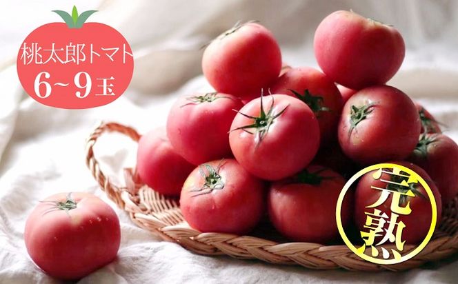 ymɓsz̓40N̔_Ƃ璼 nIYg}g 6`9ʁ@H139-018