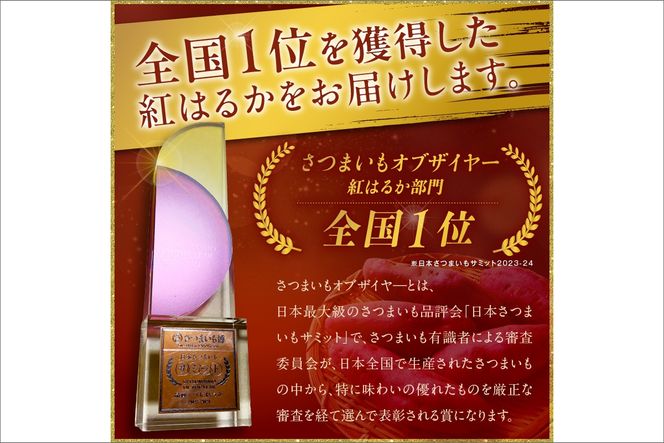 テレビで紹介！さつまいもオブザイヤー紅はるか部門全国1位 京都・ 丹後産 日本一 竹田農園 の さつまいも 紅はるか　土付き（1本150〜300g） 10kg（40～60本程度）　TF00002