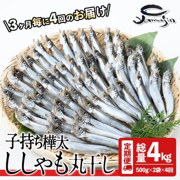 【定期便・全4回】3ヵ月に1回お届け！子持ち樺太ししゃも丸干し (総量4kg・1kg×4回) 干物 ししゃも シシャモ 丸干し 魚 海鮮 冷凍 大分県 佐伯市【AP86】【(株)ヤマジン】