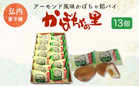 ykCCԒzA[ĥڂQpCuڂ̗v13 SRMK005