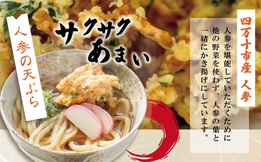 R5-797．【数量限定】四万十うどんと人参のかき揚げ６食セット