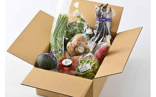 産地直送】採りたて野菜セット≪旬の野菜 新鮮 詰め合わせ 栃木