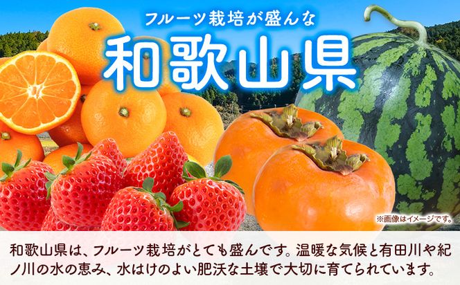 【発送月固定定期便】フルーツセット 果物セット(すいか 桃 ひらたねなし柿 みかん)【全4回】 魚鶴商店《6月中旬-12月末頃出荷予定(土日祝除く)》 和歌山県 日高町 すいか 小玉 ひとりじめ 桃 平核無柿 柿 化粧箱入 ギフト 果物 フルーツ 旬 送料無料 定期便---wsh_uotteib_23_52000_ev2mo4mum1---