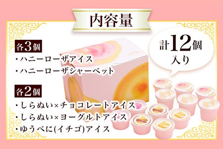 ぎょくとうセレクト アイスアソートセット 12個(全5種)《60日以内に出荷予定(土日祝除く)》 熊本県玉名郡玉東町 すもも ハニーローザ いちご イチゴ いちご しらぬい 不知火 チョコ チョコレート ヨーグルト アイス シャーベット ぷらっとぎょくとう---sg_fgkticemonaka_60d_18500_12p---