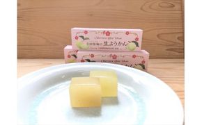 144-1766　小田原老舗和菓子店の手づくり小田原梅の生ようかん【 お菓子 スイーツ 神奈川県 小田原市 】