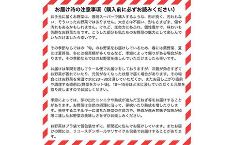 【12回定期便】かたもとオーガニックファームの農業研修生が無農薬・自然栽培で育てたお野菜セット 8～10品目 ｜ 産地直送 朝採れ 新鮮 京野菜 京都府 亀岡産