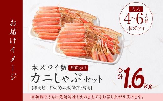 2995.ズワイ蟹しゃぶ ビードロ 800g前後 2個 セット 食べ方ガイド付 生食 生食可 約4-6人前 ズワイガニ ズワイ蟹 カニ かに 蟹 海鮮 鍋 しゃぶしゃぶ 送料無料 北海道 弟子屈町