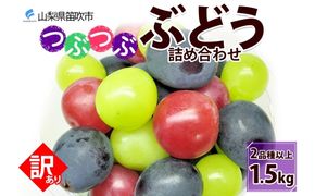 【粒】訳あり ぶどう 詰め合わせ 2品種以上 計1.5kg 177-017