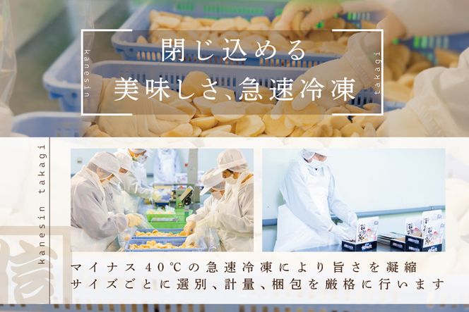思わず笑うほど驚くお試しジャンボホタテ500g