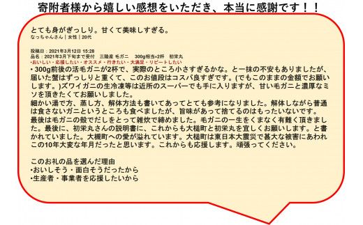 【期間限定！2026年3月～4月発送先行予約】三陸産活毛ガニ300g相当×2杯(2尾) 【0tsuchi00810】【35】