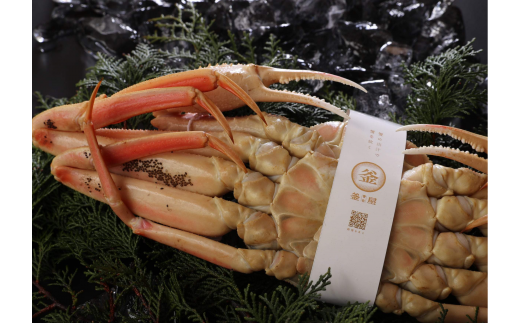 【先行予約】【釜茹で松葉がに（1杯あたり700～900g）と紅ずわいがにの自家製濃厚みそ1個（40g） セット 冷蔵】令和7年11月中旬以降発送予定 ふるさと納税  ベニズワイガニ　39-05