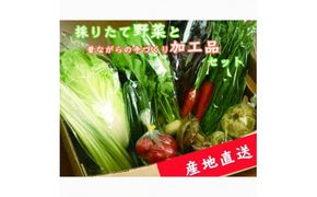 【産地直送】採りたて野菜と昔ながらの手づくり加工品セット≪旬の野菜 詰め合わせ 野菜セット 栃木県産 国産≫◇