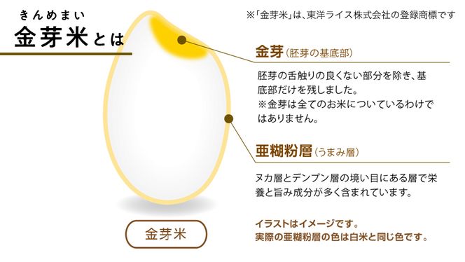 【 令和6年産・新米 10月下旬発送 】【 金芽米 】 つくばみらい市産 コシヒカリ 5kg × 2袋 ( 計 10kg )  金芽米 きんめまい 米 お米 無洗米 茨城県 カロリーオフ 低カロリー 東洋ライス 節水 時短 アウトドア キャンプ [EK02-NT]