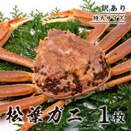 1357 【訳あり】 松葉ガニ（ボイル）  800g級 特大サイズ（鳥取マーケット）