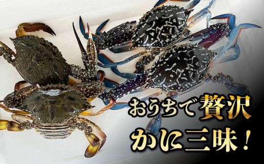 【先行予約】【2026年8月以降順次発送】豊前海産 タイワンガザミ 2kg (10～24杯前後) オス メス セット 《築上町》【明青丸】 ワタリガニ 渡り蟹 蟹 カニ[ABCB003]