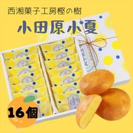 160-1951 西湘菓子工房樫の樹　乳菓万頭小田原小夏16個入りギフト 【 お菓子 スイーツ 神奈川県 小田原市 】