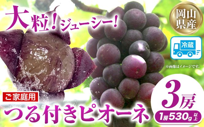 yR}szƒptj[sI[l 3[(1[530gȏ)yzsn悠zLЃz[eBJ`[_ ߘa8NYsts2026N9{-10{oׁtR }s   t[c ʕ j[sI[l t 񂹃t[c---H-35b---