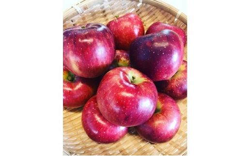 梨・リンゴのこだわりジュースセット（3本）　梨ジュース りんごジュース ストレート 100%  魚津 富山