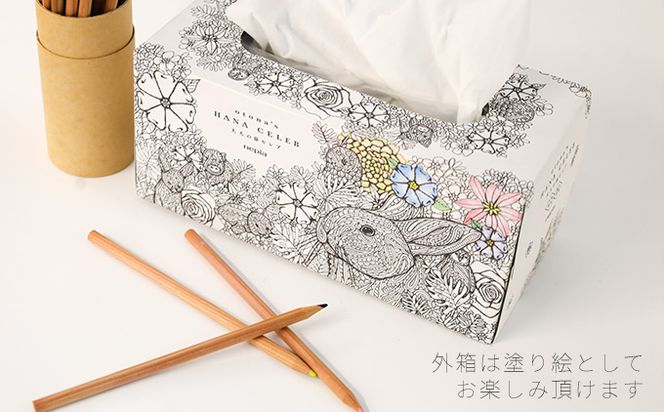 大人の鼻セレブ20箱セット 