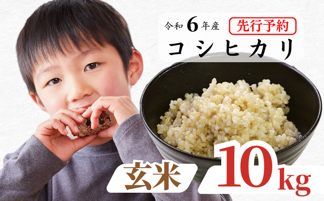 《令和6年産新米先行予約・9月ごろよりお届け開始》玄米 10kg 令和6年産 コシヒカリ 岡山 あわくら源流米 K-ac-ADZA