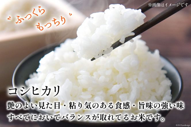 アウトレットの場合 米 精米【岩手県産ひとめぼれ30kg】 5kg×6