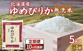 【令和6年産新米 定期配送10ヵ月】ホクレン ゆめぴりか 無洗米5kg（5kg×1） TYUA023