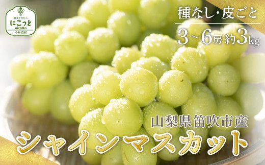 ＜2024年先行予約＞シャインマスカット 3〜6房 約3.0kg ※沖縄県・離島は発送不可 097-014