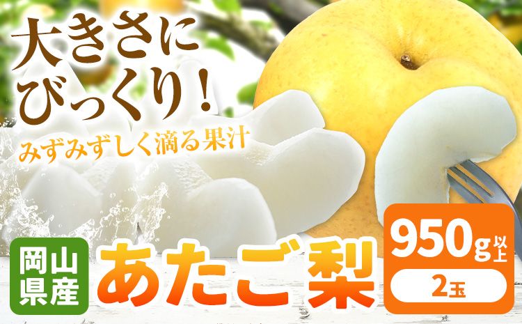 [先行予約]岡山県産 あたご梨 大玉2玉(950g以上)[配送不可地域あり] [2025年11月下旬-12月末頃に出荷予定(土日祝除く)] 岡山県 矢掛町 なし 梨 果物---osy_hbf26_cf11_25_15500_2---