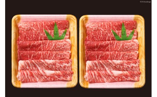 牛肉 宮崎牛 A4 A5 等級 モモ・バラ すき焼き 600g [日本ハムマーケティング 宮崎県 日向市 452061599] 小分け スライス 冷凍 牛もも 牛バラ 牛 肉 宮崎