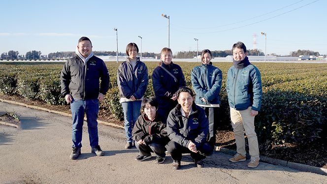 猿島茶使用 アイス ジェラート 7個入 詰め合わせ ( 濃いお茶 3個 / 和紅茶 2個 / ほうじ茶 2個 ) ふるさと納税 ギフト お菓子 お祝い [AF071ya]