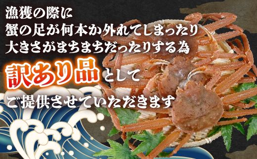 【訳あり】 北海道 豊浦 噴火湾 ズワイガニ 約1.5～2kg（4～6尾） 数量限定 TYUR041