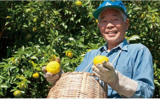 高知アイスの無添加ゆずドリンク「希釈用」1L×6本