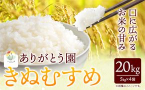  令和6年産 米 岡山県産 きぬむすめ 白米 20kg ありがとう園《30日以内に出荷予定(土日祝除く)》岡山県 矢掛町 米 コメ 一等米---osy_agekmh_30d_23_35000_20kg---