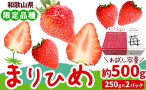 【先行予約】いちご まりひめ 約500g ( 250g × 2パック ) お試し パック 苺 イチゴ JAわかやま 紀の里地域本部《2027年2月中旬-3月末頃出荷》 和歌山県 紀の川市 青果物 果物 くだもの フルーツ スイーツ---wsk_cjak25_2c3m_24_8000_500g---