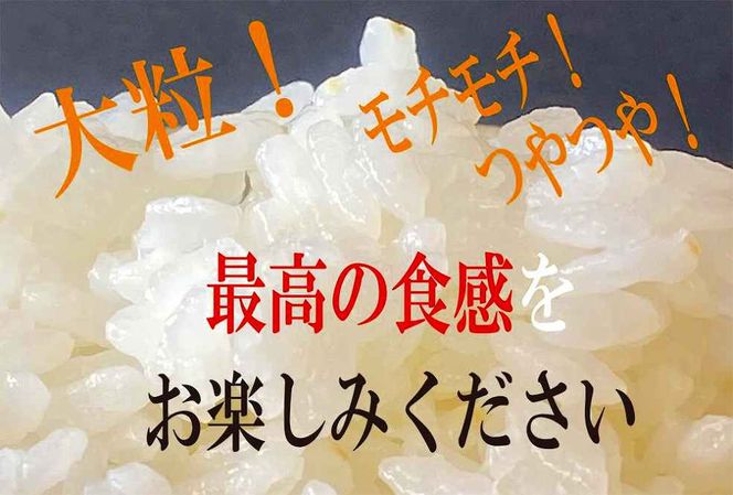 伊賀米コシヒカリ特別栽培米「真米」白米5kg
