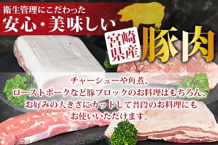 ＜宮崎県産豚肉ブロック 4種セット（ヒレ・ロース・モモ・バラ）合計3.5kg＞翌月末迄に順次出荷【b0406_ty】