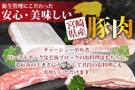 ＜宮崎県産豚肉ブロック 4種セット（ヒレ・ロース・モモ・バラ）合計3.5kg＞翌月末迄に順次出荷【a0406_ty】