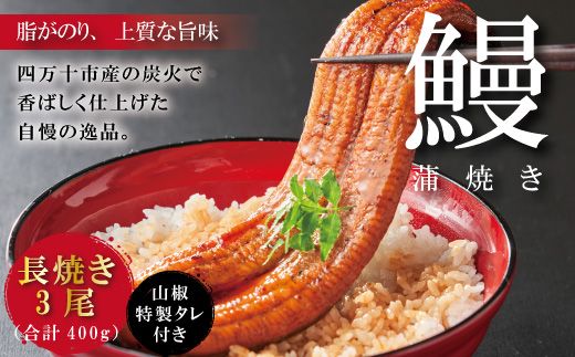 R5-367．＜四万十食品＞うなぎ蒲焼　長焼3尾／ＣＤ