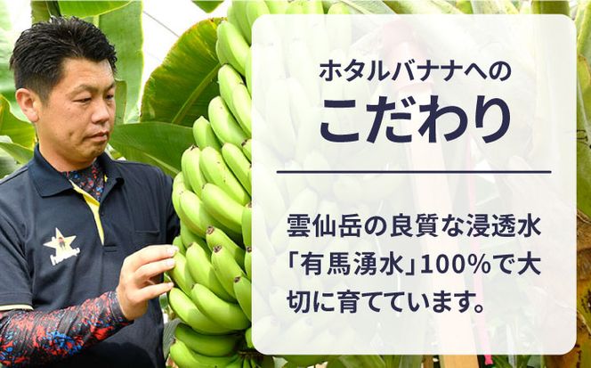 【とても希少な国産バナナをあなたへ！】hotaru バナナ 2本[SFA001]
