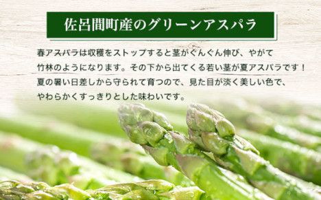 春採りグリーンアスパラ 1kg 2L以上 佐呂間町産（2027年3月末より順次発送予定） SRMM033