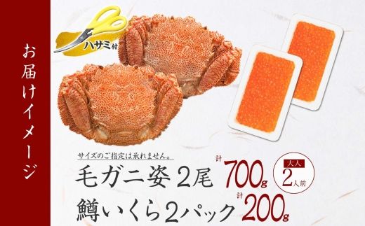 3629. 毛蟹 2尾 計700g前後 鱒いくら醤油漬け 200g 専用ハサミ・食べ方ガイド付き 毛ガニ 毛がに 蟹 カニ  鱒いくら いくら 醤油漬け ボイル 送料無料 北海道 弟子屈町