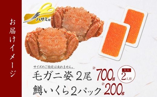 2457. 毛蟹 2尾 計700g前後 鱒いくら醤油漬け 200g 専用ハサミ・食べ方ガイド付き 毛ガニ 毛がに 蟹 カニ  鱒いくら いくら 醤油漬け ボイル 送料無料 北海道 弟子屈町