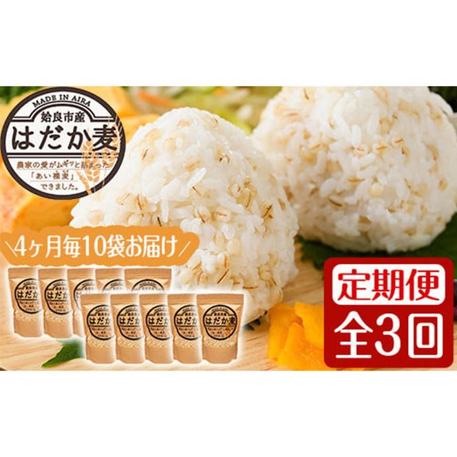 a767 《数量限定・定期便全3回》姶良市産はだか麦(計12kg・400g×10袋×3回)【竹之内穀類産業】