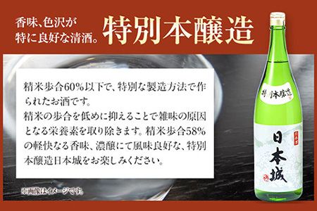 日本城 吟醸純米酒と特別本醸造 1.8L×2本 2種セット 厳選館《90日以内に出荷予定(土日祝除く)》 和歌山県 日高川町 酒 吟醸純米酒 特別本醸造 飲み比べ 3.6L---wshg_genngth_90d_22_21000_2p---