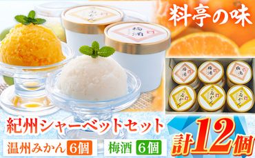 がんこ 和歌山六三園 の 紀州 シャーベットセット《90日以内に出荷予定（土日祝除く）》 和歌山県 日高町 紀州 シャーベット 温州みかん 梅酒---wsh_fokz1_90d_23_19000_12c---